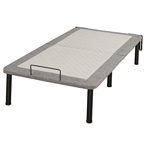 Alwyn Home Haslet 14'' Steel Folding Bed & Reviews | Wayfair